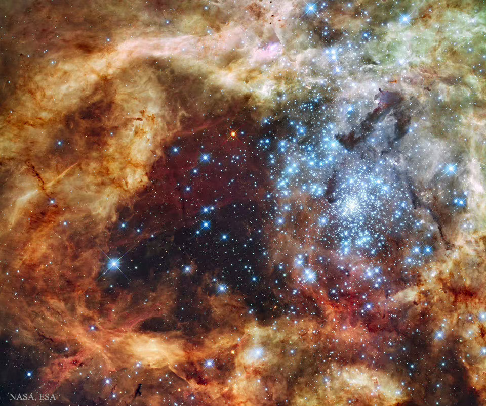 #每天一天文图# 破茧而出的星团R136 ​​​