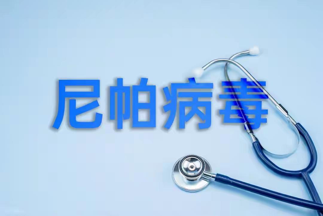 中科院武汉病毒研究所联合多团队研究取得突破，口服核苷药物VV116对尼帕病毒展现