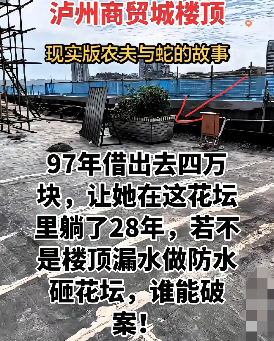看完泸州白骨案的细节，真的让人脊背发凉又满心唏嘘！

28年的等待，顶楼花坛里的