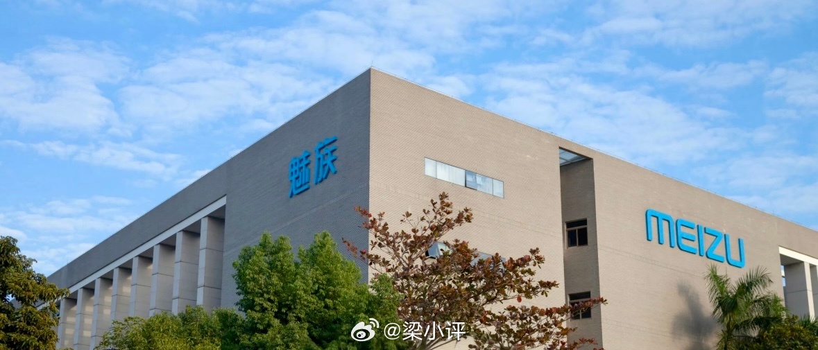 问了一下AI，魅族（包括魅蓝）上市至今，在国内发布了69款手机，这不包括一些定制