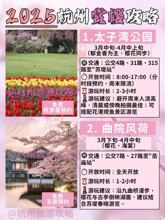 杭州樱花要开了🌸攻略做好了不来看看吗？📢