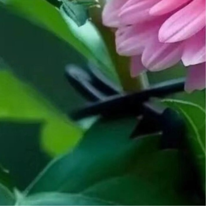 每日一善  💫阳光信用  💫每日一善把懒惰放一边，把丧气的话收一收，把积极性