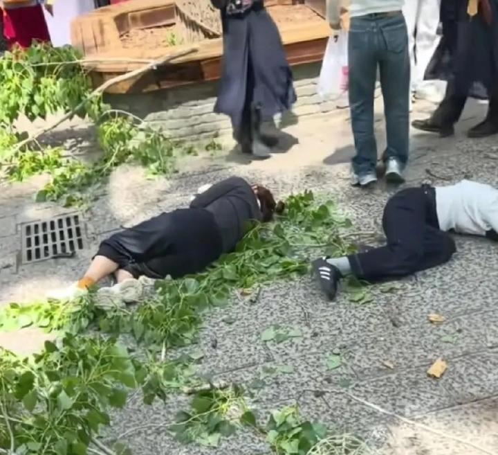 河南开封万岁山景区出事了，4月18号中午，中门一棵杨树突然被大风刮断枝干，碗口粗