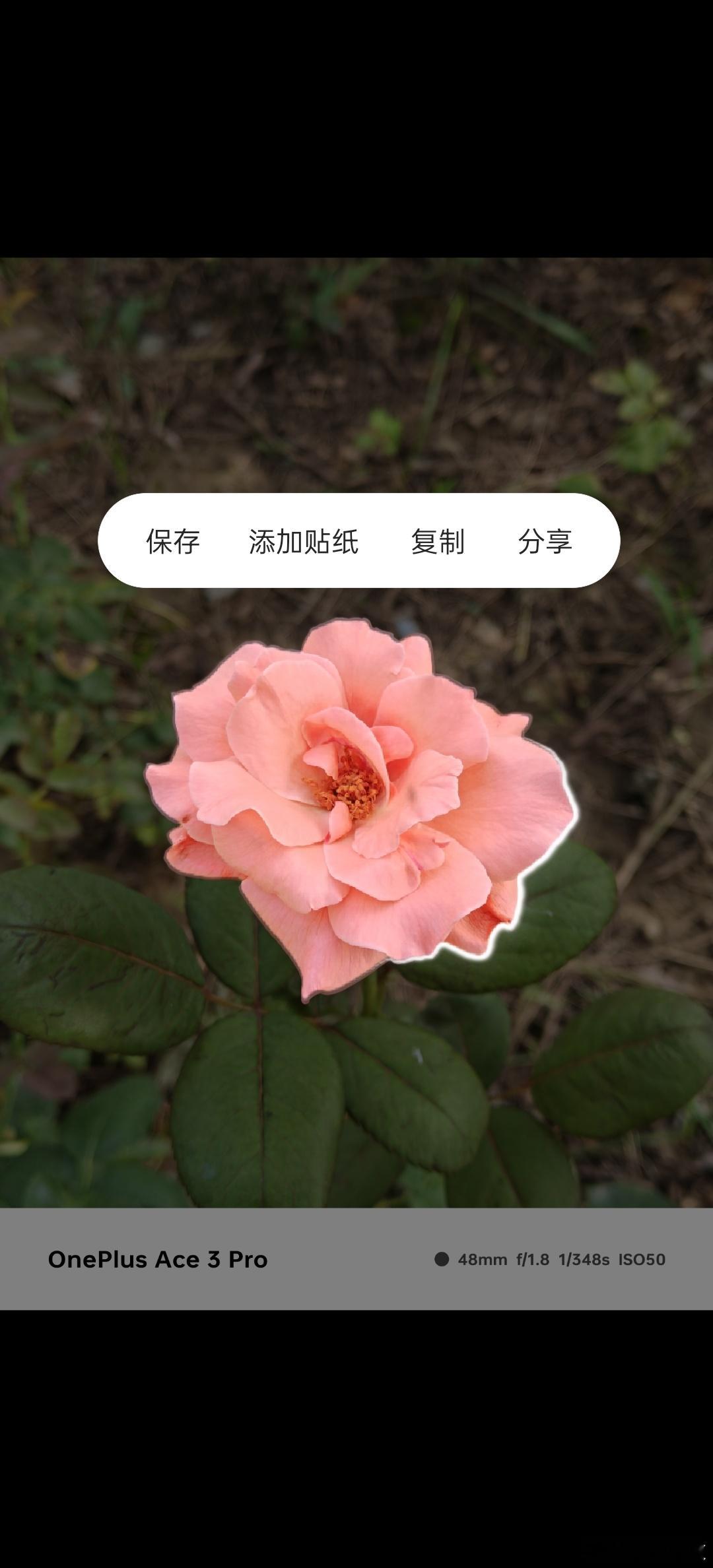 #ColorOS# 让抠图变得如此简单，只要轻轻一按，一切都搞定了！#O粉节# 