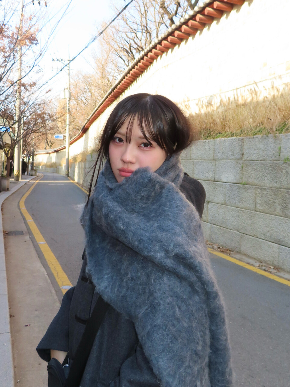 まりぃちゃん「ここでの時間は有限だから。べつに、ここにいる間は楽じゃなくてもいい