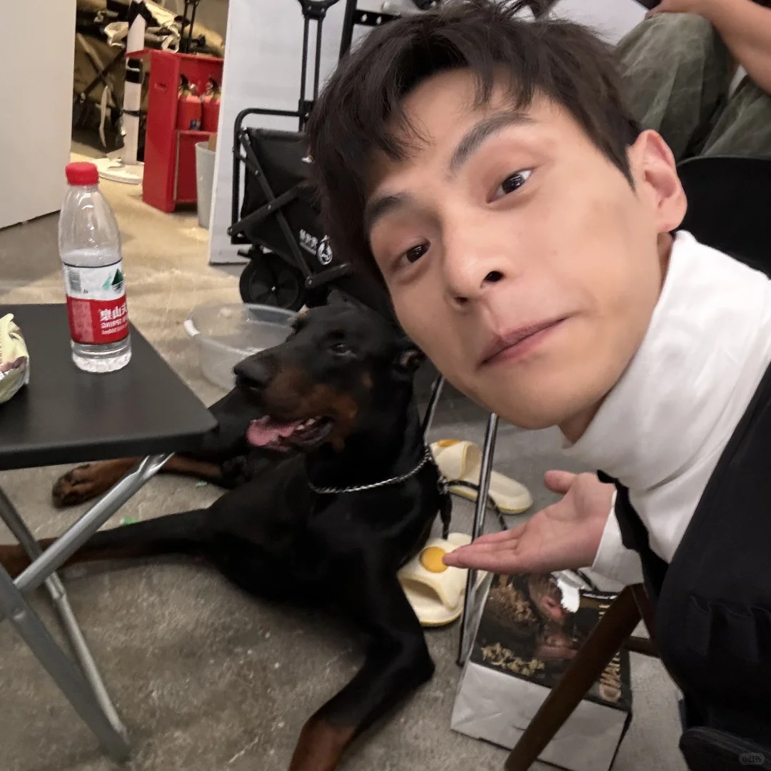 和“新同事”拍摄的一天🐕‍🦺