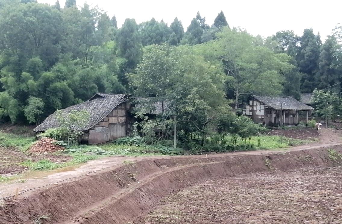 父亲的文化程度不高，不会说高大上的话，但现在回想起来，他以前对我的一些忠告，真的