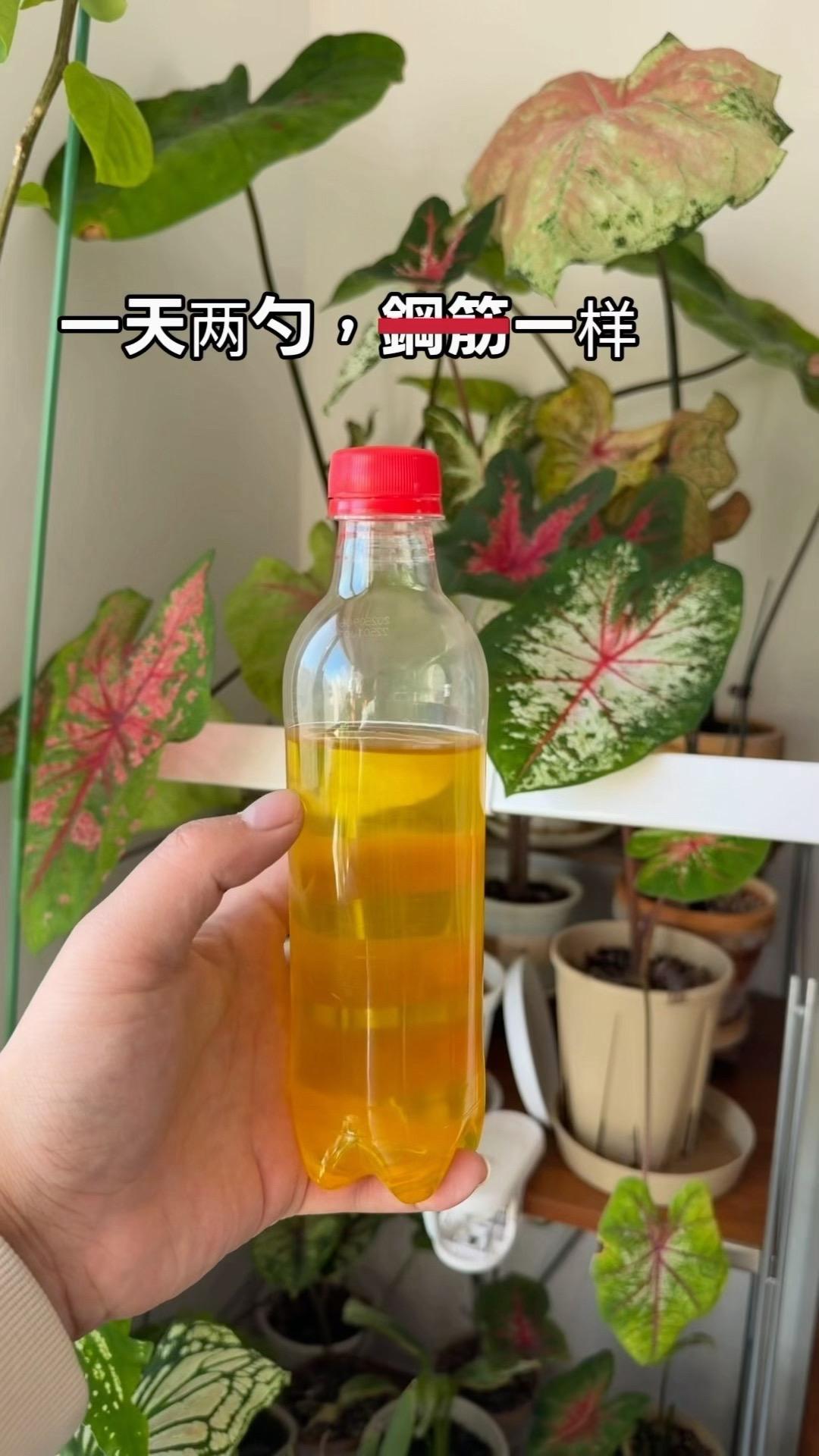 原装进口，凤梨口味，点击链接了解一下