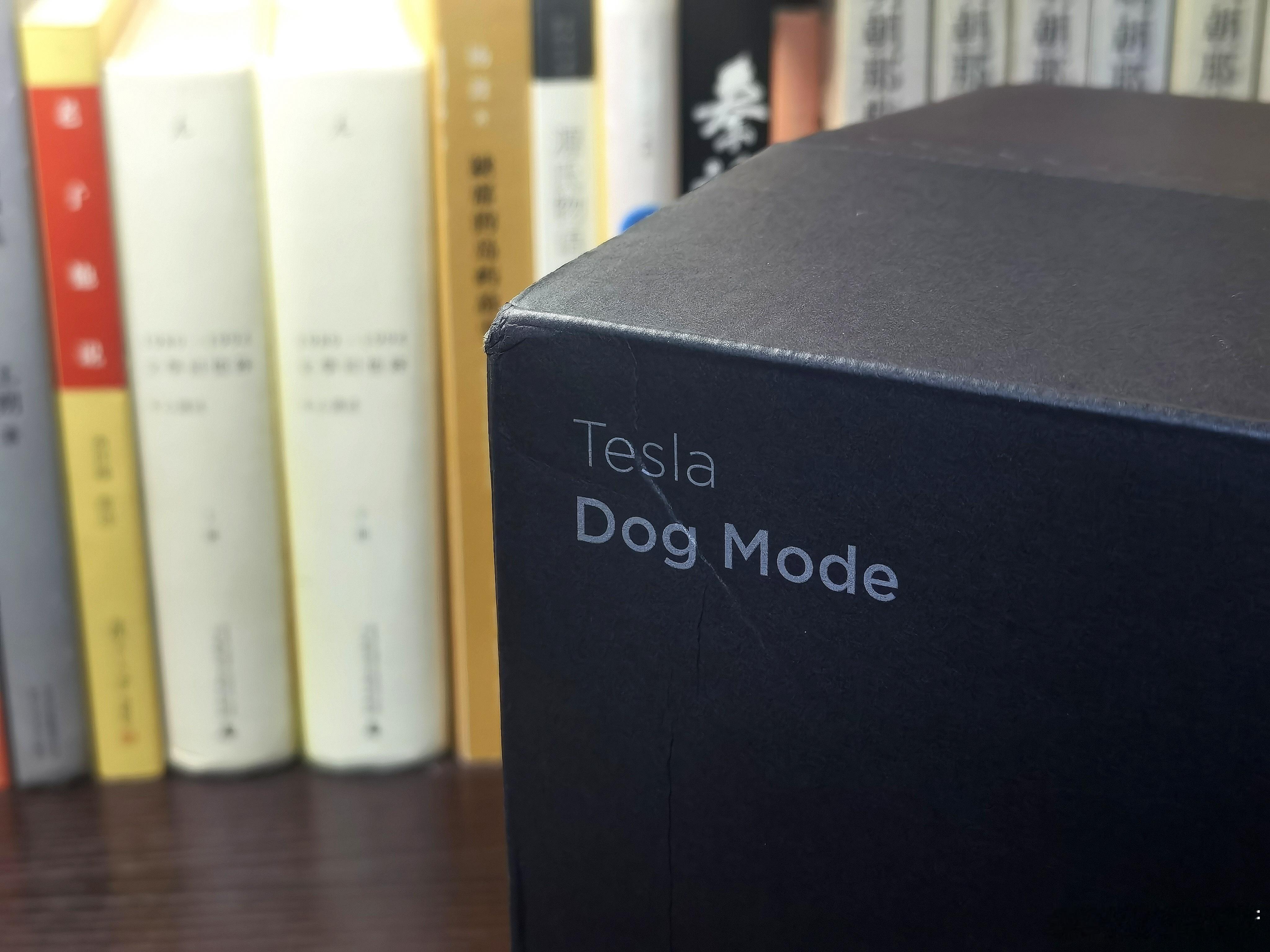 特斯拉Dog mode mini玩偶，今天可以买了，官网、某猫、某东都可以买，2