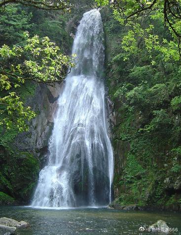 【神农谷】神农谷是一座天然“绿色宝库”，山、水、石、林俱备，雅、趣、奇、险兼有，