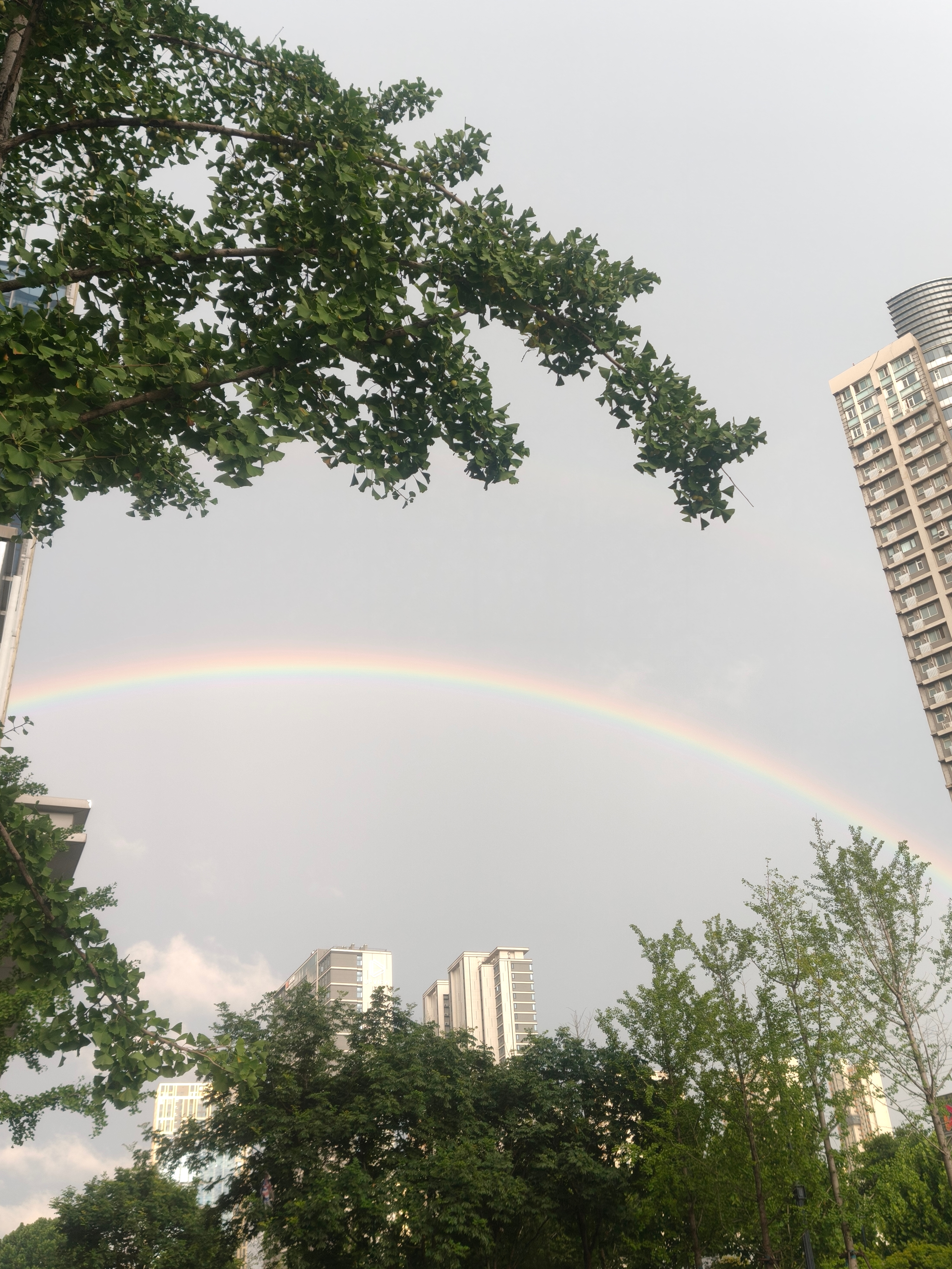 幸运的下班了🌈 