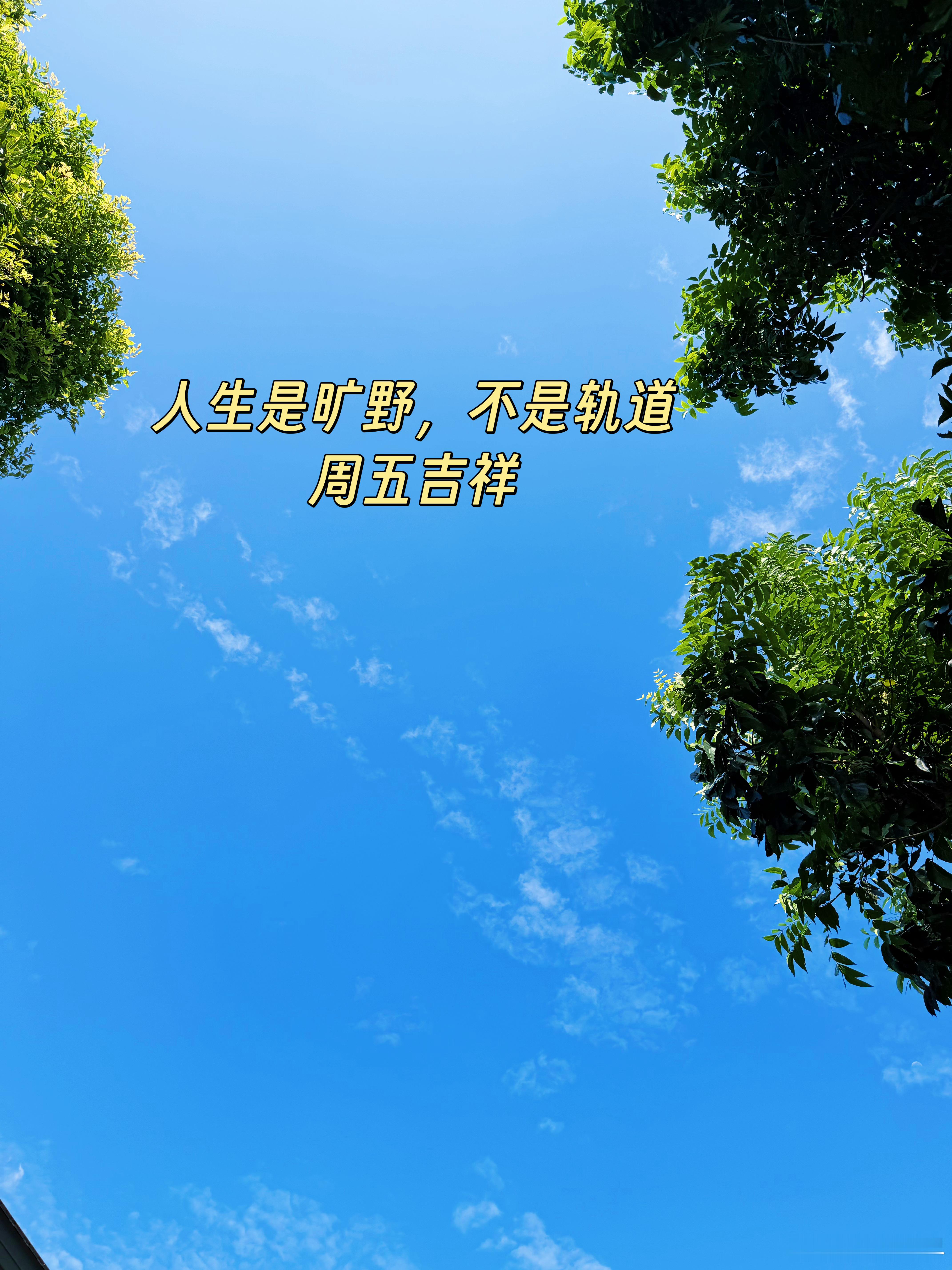 人生是旷野，不是轨道。周五吉祥！ 泰国·九世王御园