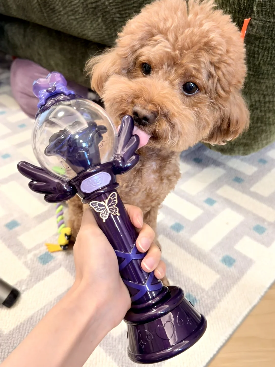 最后一张眼神啥意思