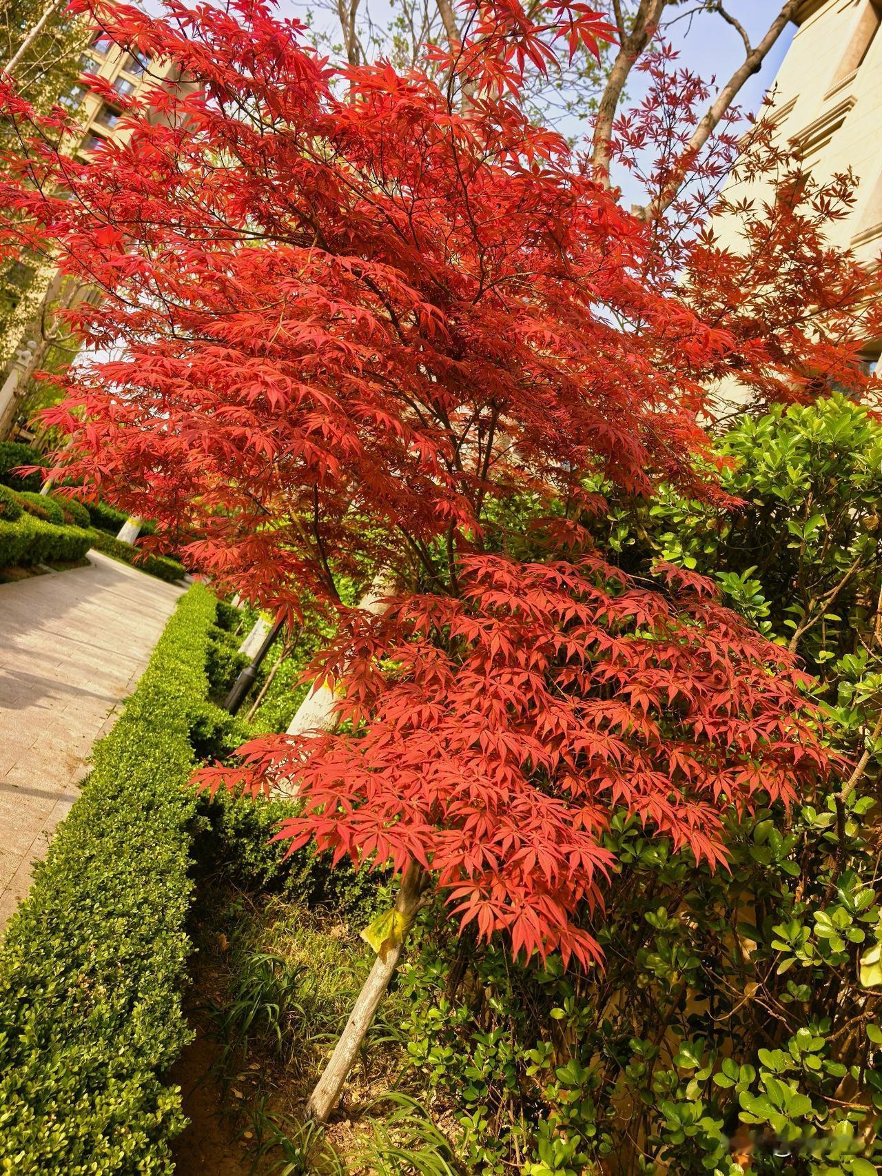 自然当中的好东西都是缓慢的，太阳一点一点升起，花朵慢慢开放，粮食成熟，溪水长流，