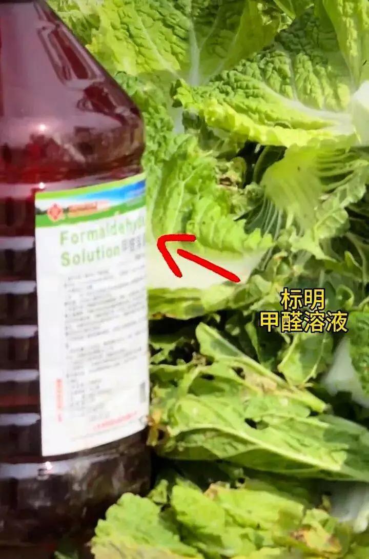 8月22日，“大白菜蘸甲醛保鲜”视频炸锅了！河北张家口康保县被曝光有给装车前大白