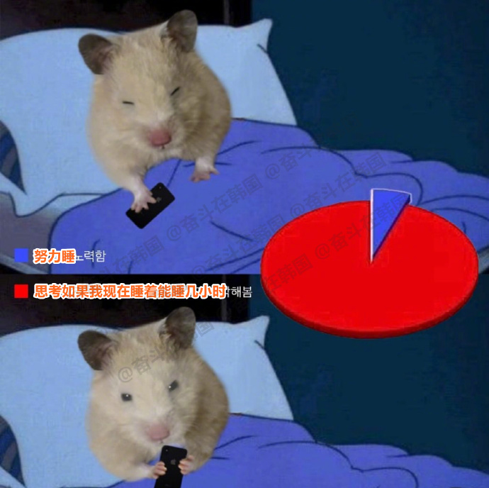 当我熬夜却不得不睡觉时 热点现场 海外新鲜事