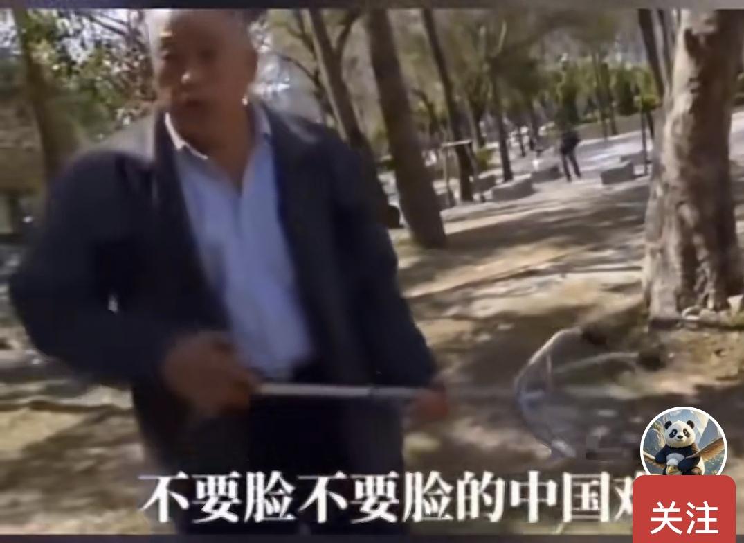 我要说脏字了，这个青鸟真是数典忘祖的没有教养的g东西，她被台独教纲教化成真正的“