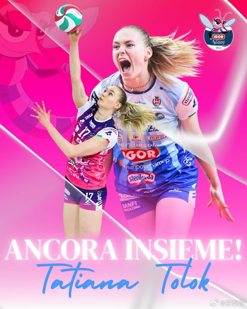 国际排坛动态诺瓦拉宣布与托洛克续约 