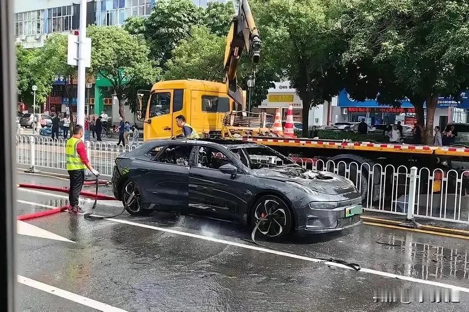 新能源车火了，这也是正常的吧，燃油车也有相同的案例，不能说他是新能源就可以黑人家