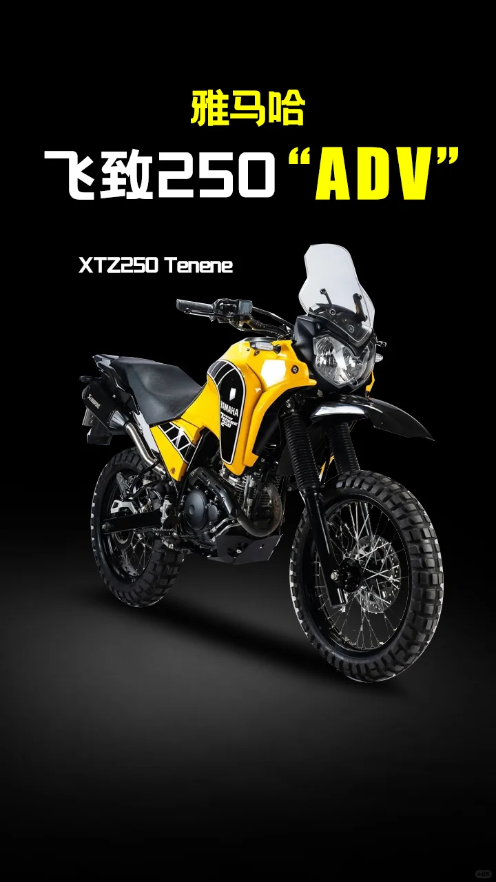 飞致250“ADV”