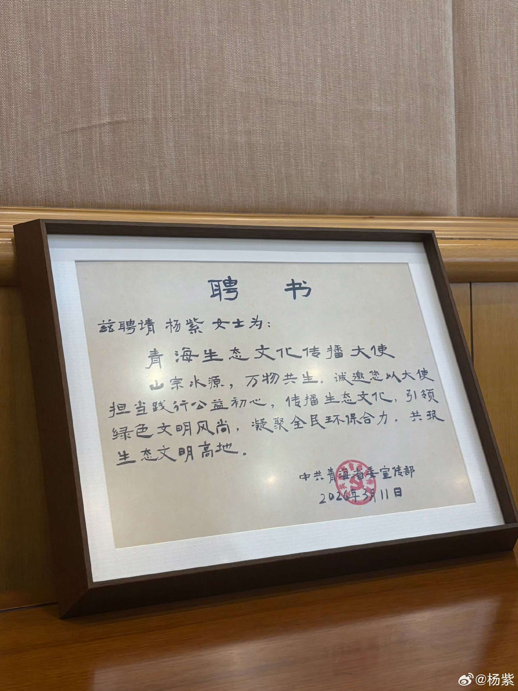 杨紫成为青海生态文化传播大使 恭喜！ 