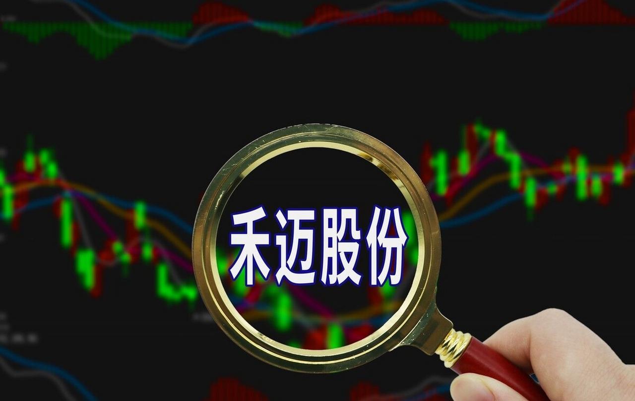 禾迈股份股价为何持续下跌？
       从行业看，光伏行业竞争加剧，新玩家不断