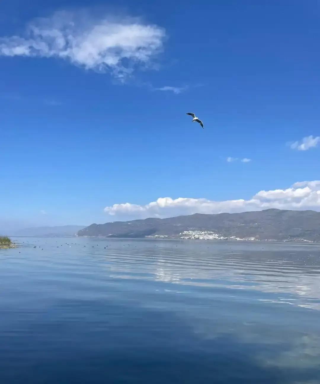 阿强把八年没露面的前妻拒在门外，只因她一句“见不到就永远不见”春节前夕，消失八年