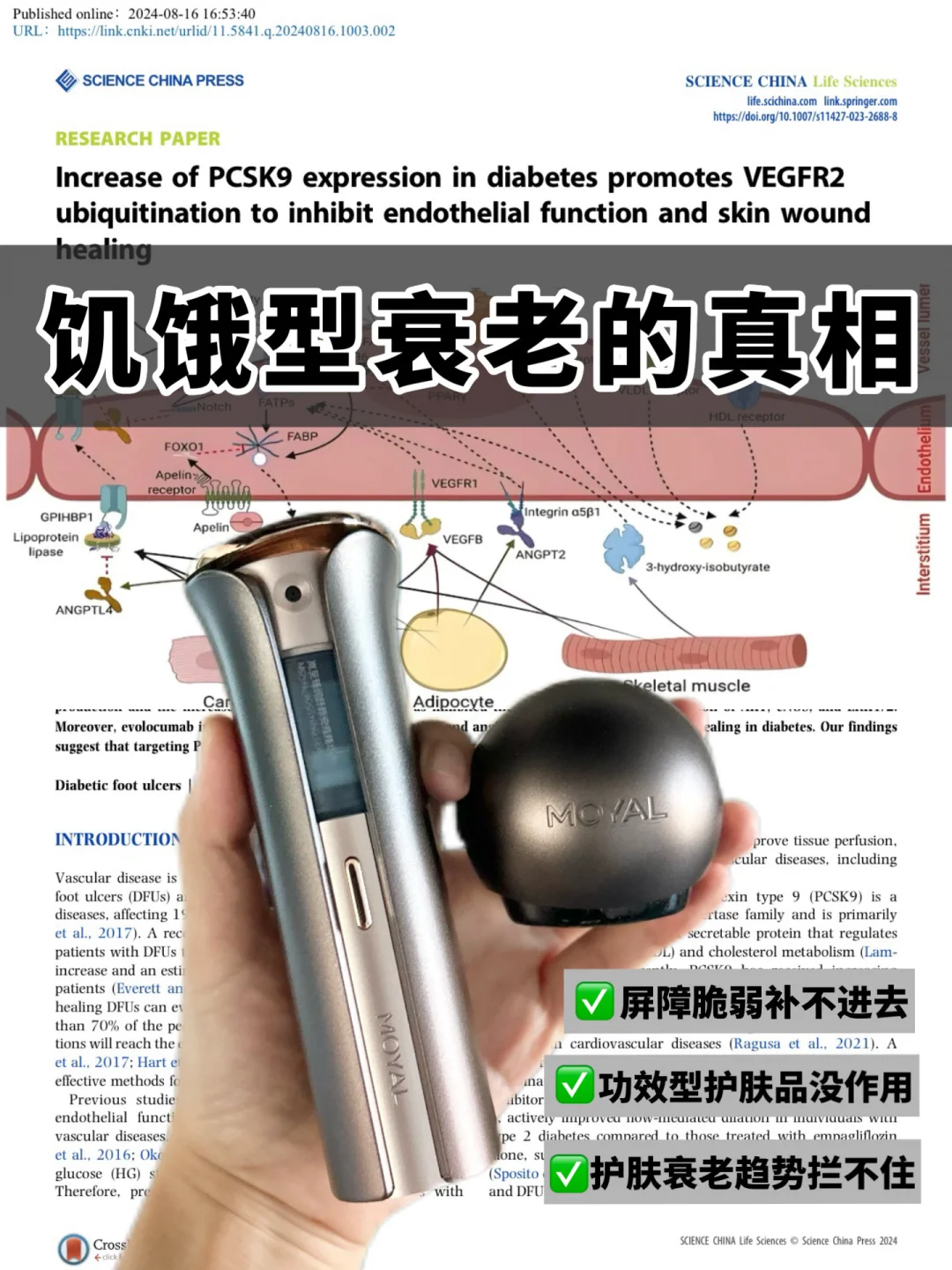饥饿型衰老关键就是要先把底盘搞好！！！