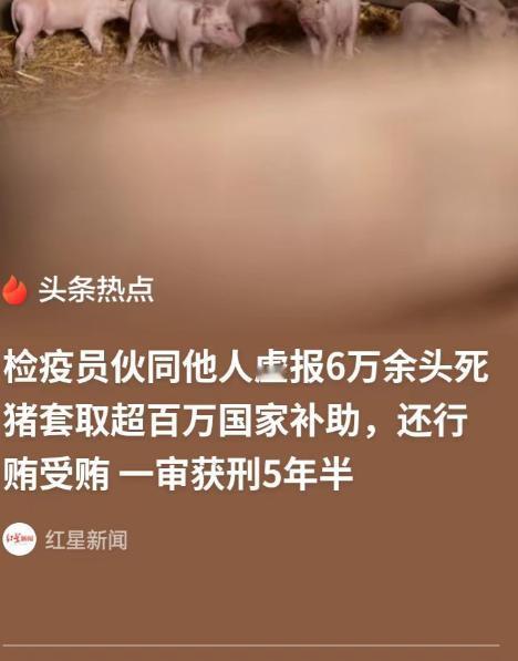 这就是权力任性的代价！湖北沙洋，男子是镇上管猪的检疫员，却把死猪拍成永动机，同一
