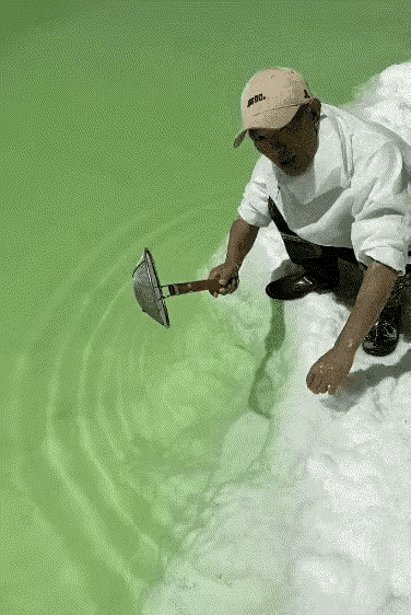 长知识系列，
这个听说是盐。
你们知道吗？