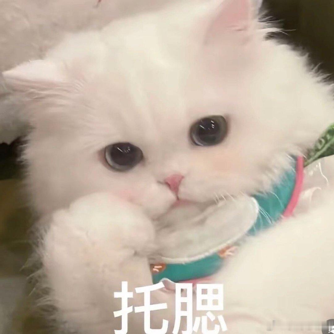GenJI在直播间贴脸开大悟空安全 这种干货满满的直播看着就是过瘾，不仅避开了维
