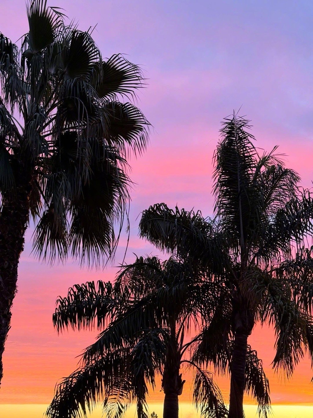 🥰看毛茸茸的后脑勺识别金发帅哥💕美好的落日，彼此相爱的家人，真是幸福德容一家