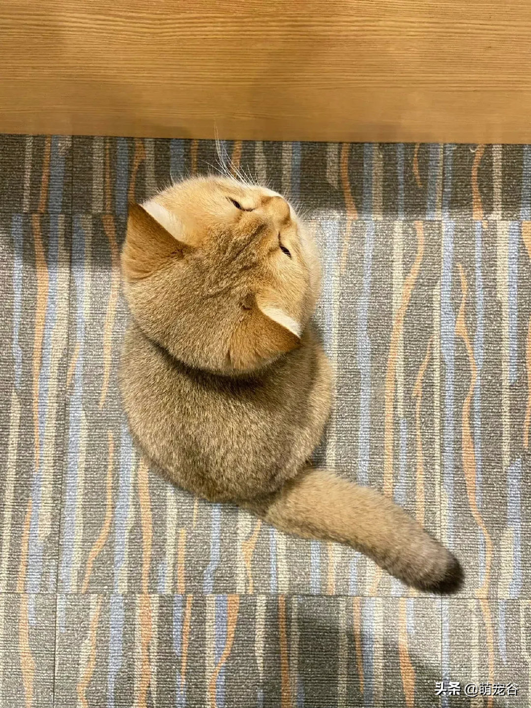 “刚刚是你在叫我宝贝吗？”