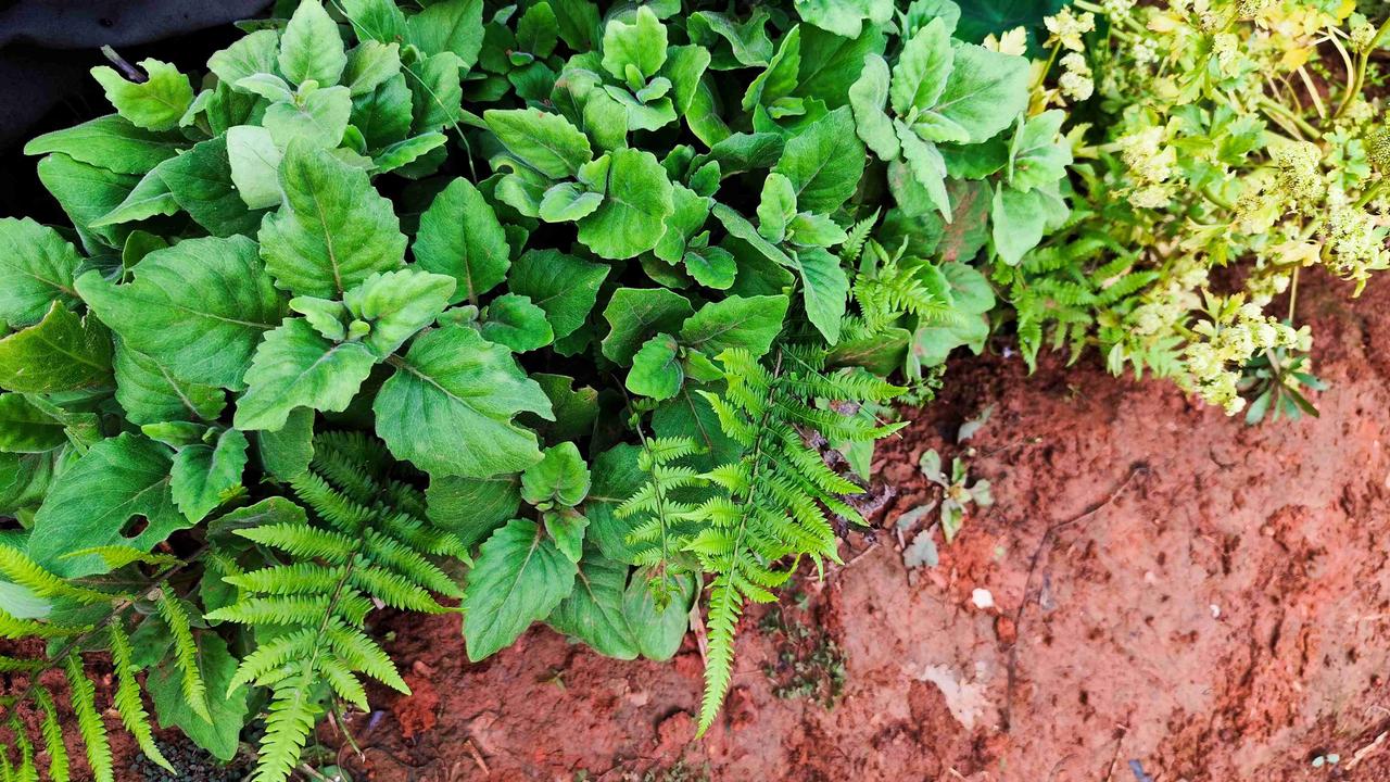 我的今日状态：😁轻松愉快
我这里的天气：🌤️多云