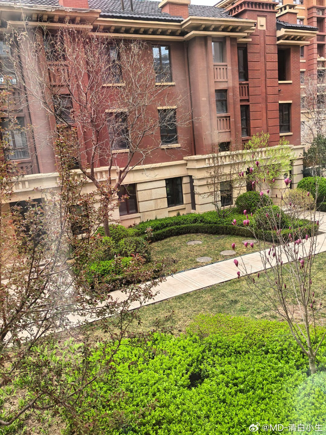 还是春天好，窗外的花🌸要开了，最近总看到有人在小区拍照 