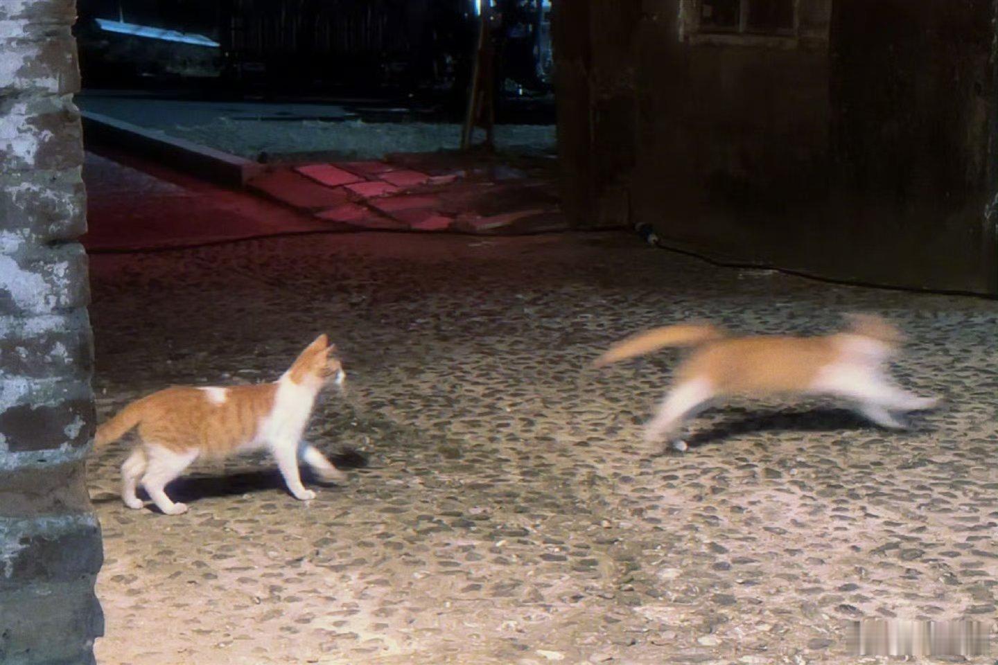 魏大勋更新草稿箱~可爱的小揪揪hhhh[彩虹屁] 