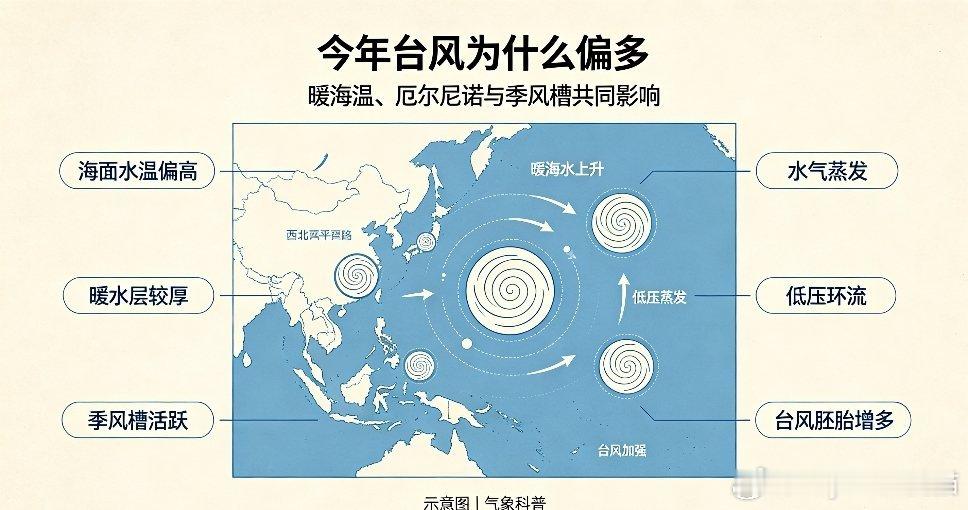 台风台风又又又又又来了？？？刚缓过一阵风雨，又听闻台风即将来袭，不少人感慨今年台