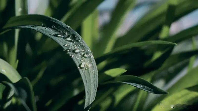 上联:天寒地冻一杯酒，求下联草绿花开一盏茶