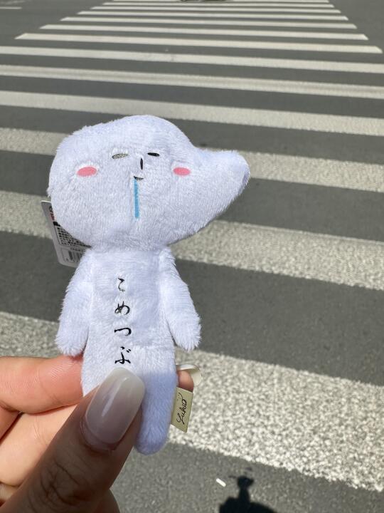 大家知道这是啥嘛