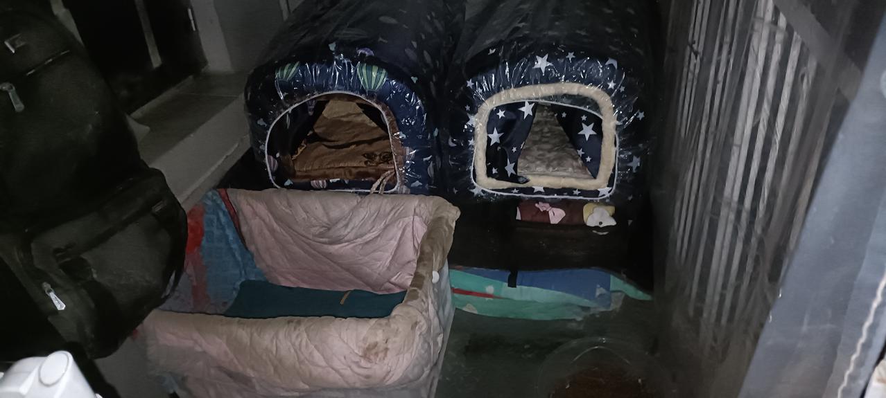 夜幕降临，我把好心人寄来的保暖猫窝给流浪猫安排上了，因为连续下雨，猫窝里面我垫的