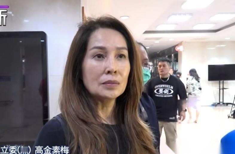 应讯3小时被请回 高金素梅：勇敢面对人生困境 无党籍立委高金素梅，这次确实碰上了