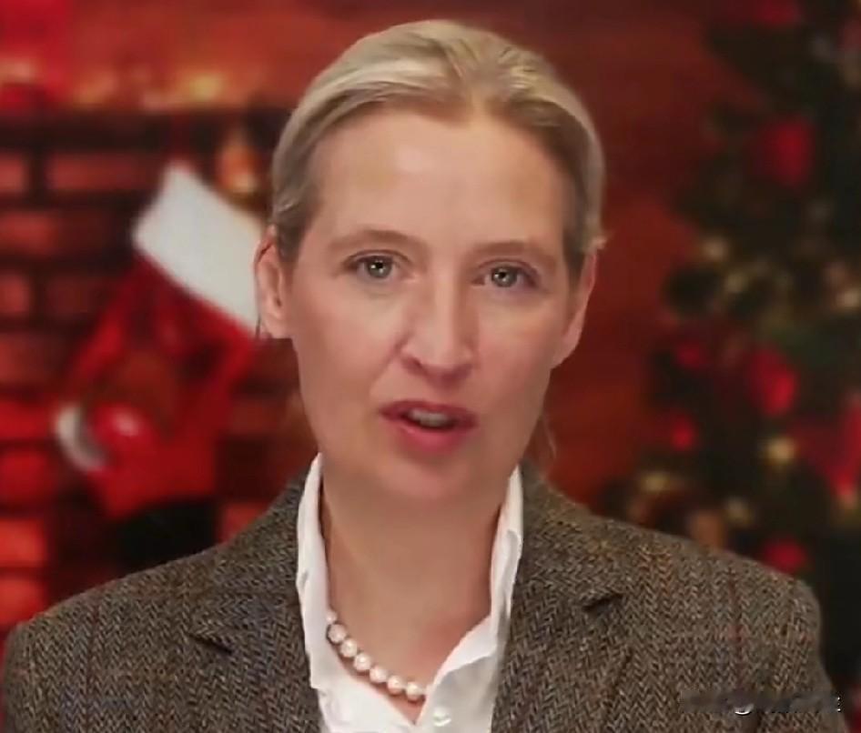 德国选择党领导人爱丽丝·魏德尔发表圣诞节贺词，对德国未来表达了担忧。

魏德尔表