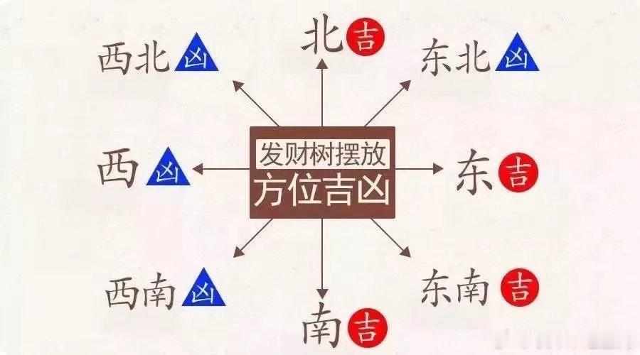 在室内摆放绿植时，发财树是人们的首选。不仅能招财，带来福运，还具有净化空气和美化