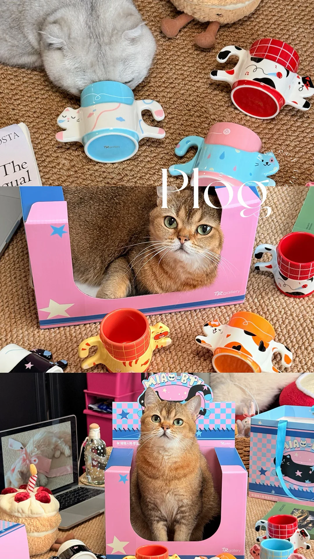 My life｜🐱和猫猫一起拆盲盒的快乐谁懂啊！！