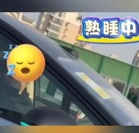 事发上海中环高架！一新能源车主行驶中呼呼大睡，目击者震惊疑惑：这合法吗？
 
1