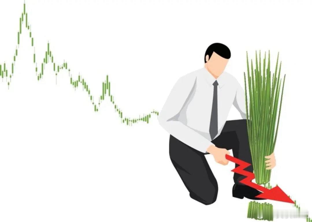 高股息概念股的套路......股价跌10%，股息率涨10%；分红前拉升，让更多散