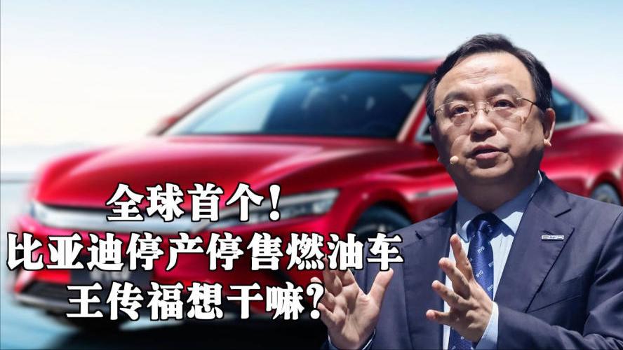 王传福放狠话！2030年比亚迪全球第一，是狂妄还是实力？6月9日比亚迪股东大会，