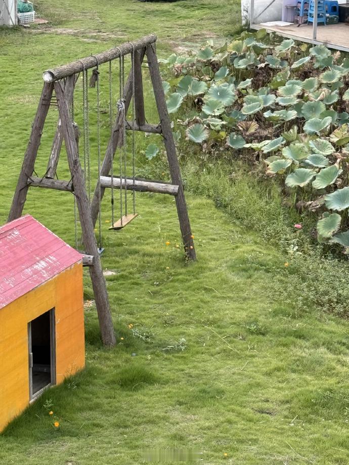 #鹭卓今儿个回后陡门了##鹭卓家里的空气还是熟悉的味道# 回到后陡门的鹭卓，被熟