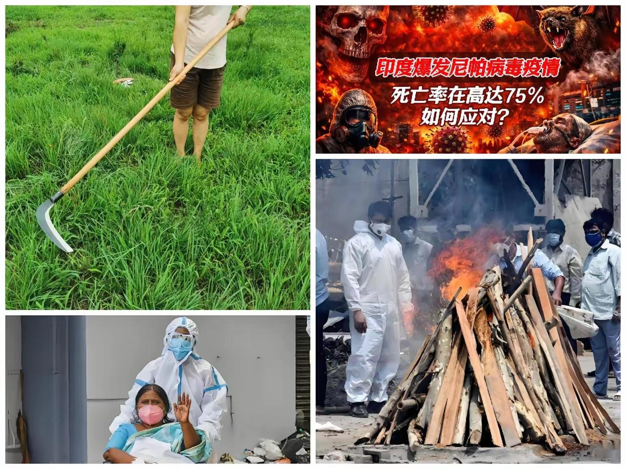 三哥的"尼帕"要变"你怕"，这波收割有点眼熟

印度要是扛不住尼帕病毒，经济被收