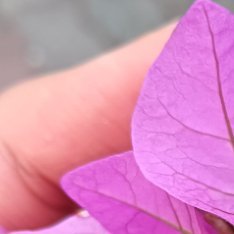 斗志和干劲很重要，但更重要的，是不断坚持的努力。无论你已经工作还是仍在校园拼搏，